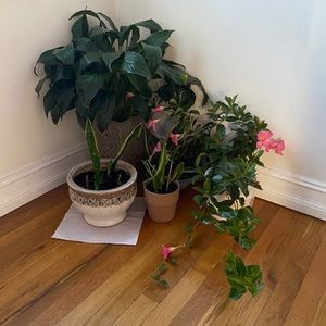 Meet your Posher, Samira